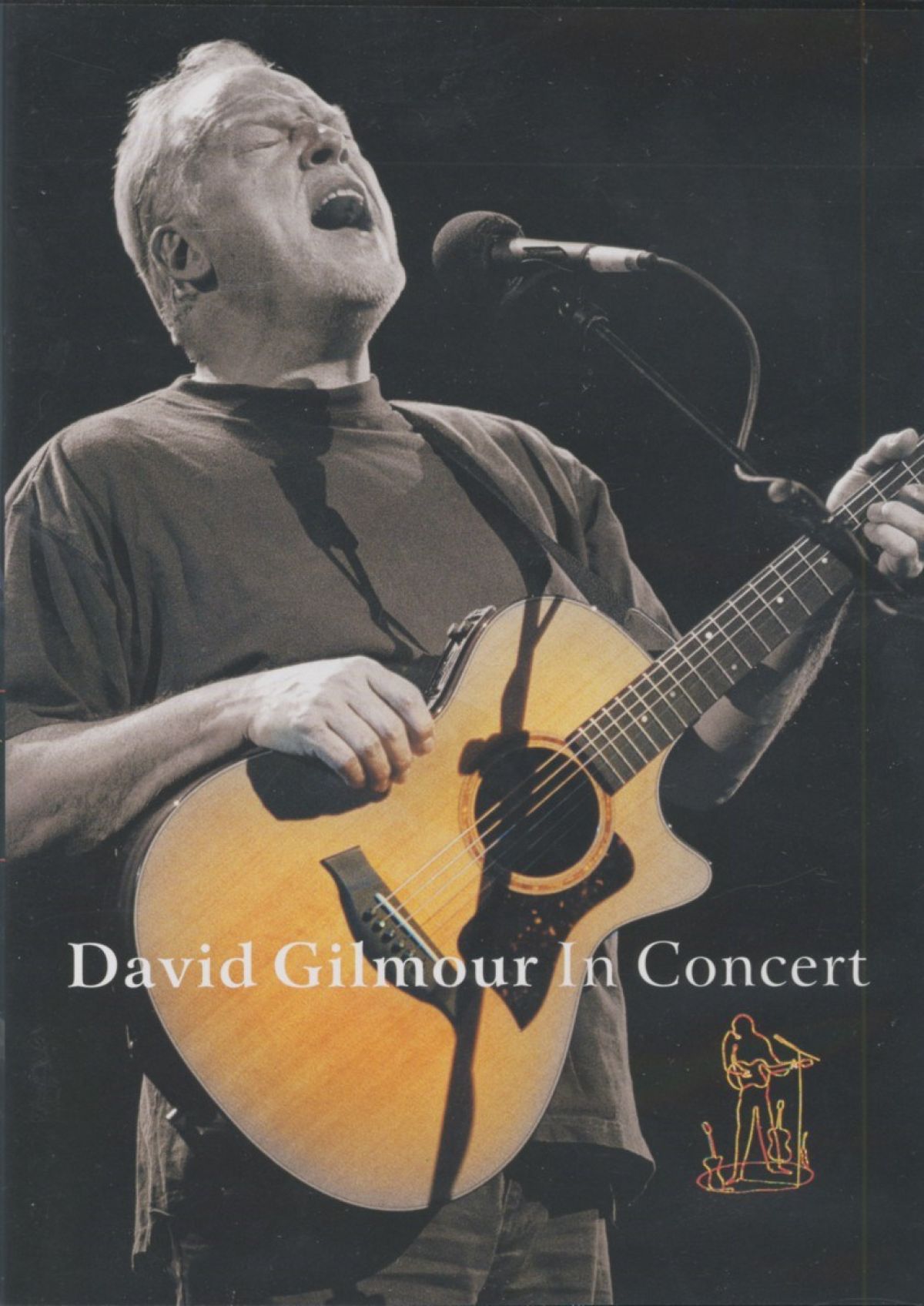 Afbeelding van David Gilmour - In concert