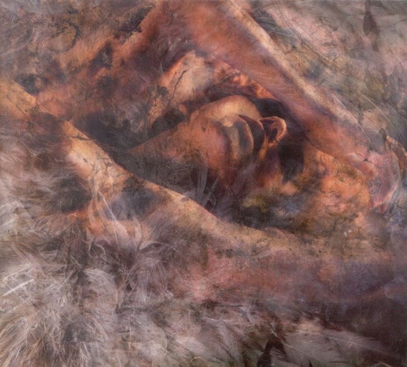 Afbeelding van Converge - Unloved And Weeded Out