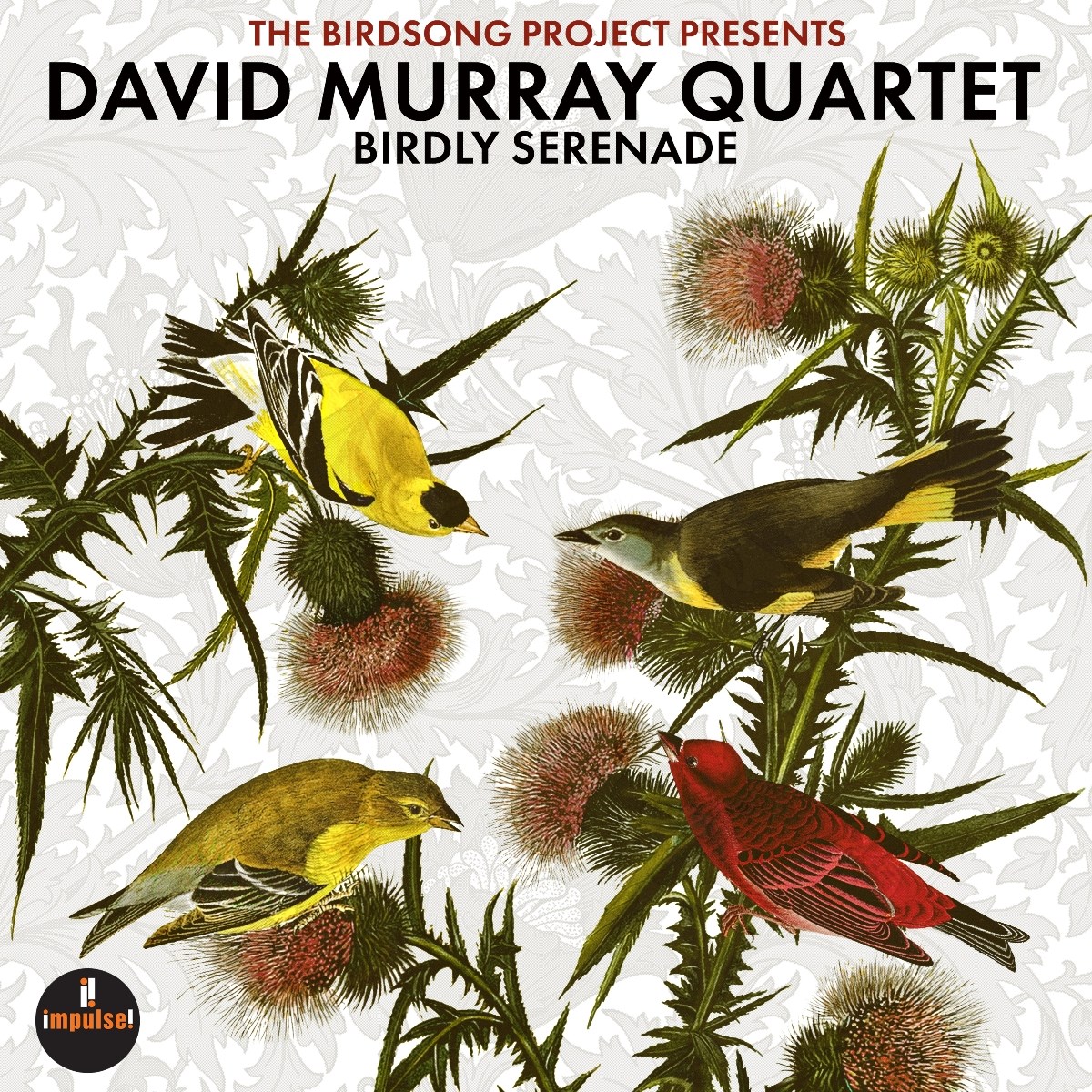 Afbeelding van David Murray Quartet - Birdly Serenade