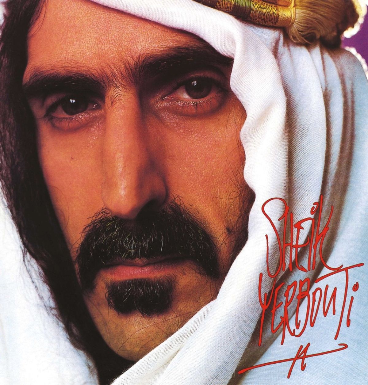 Afbeelding van Frank Zappa - Sheik Yerbouti