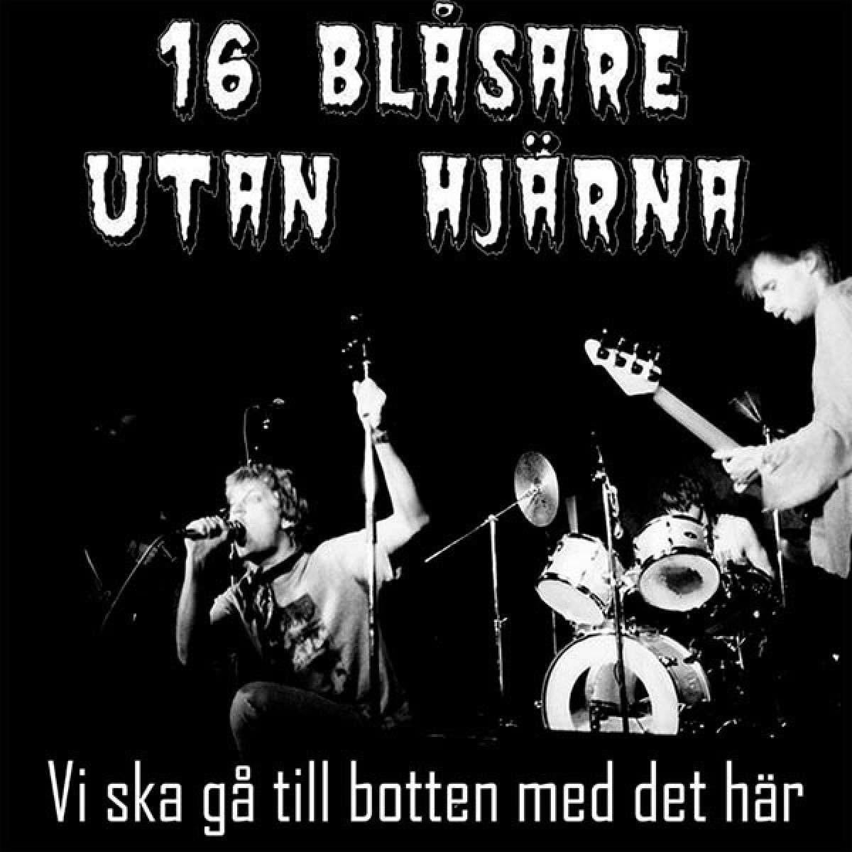 Afbeelding van Sixten Blasare Utan Hjarna - Vi Ska Ga Till Botten Med Det Har