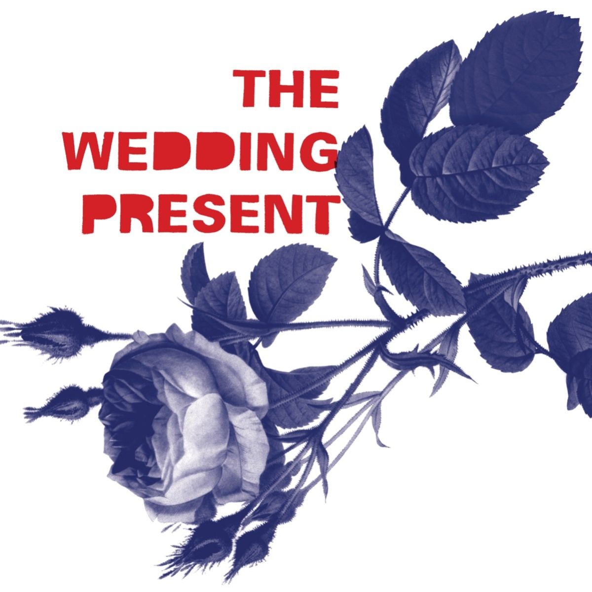 Afbeelding van Wedding Present - Tommy 30