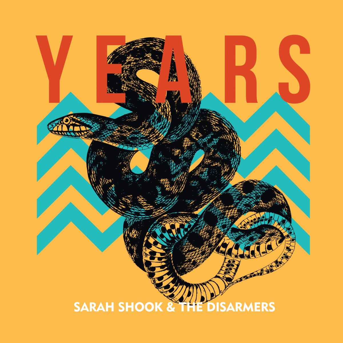Afbeelding van Sarah Shook & The Disarmers - Years