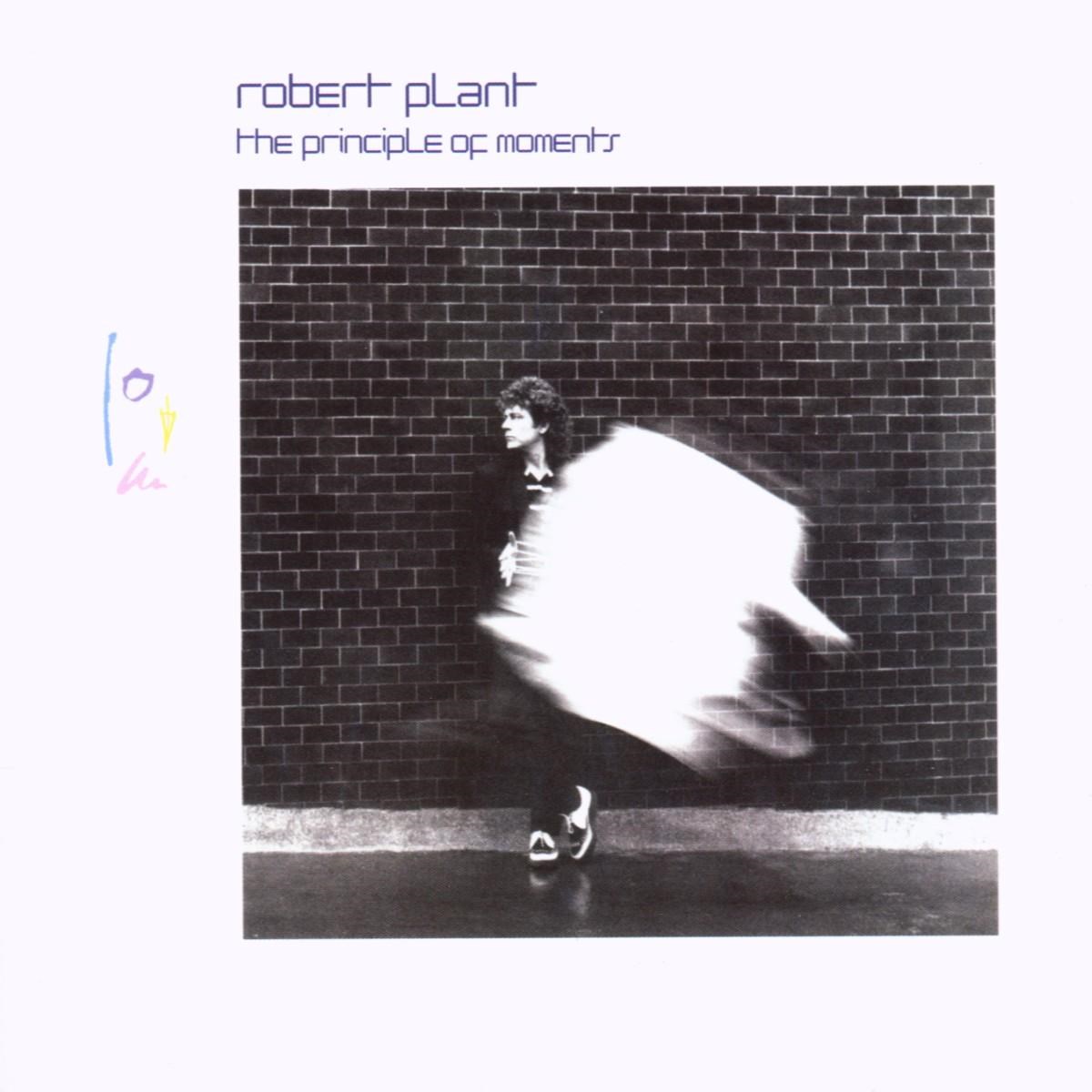 Afbeelding van Robert Plant - The Principle Of Moments