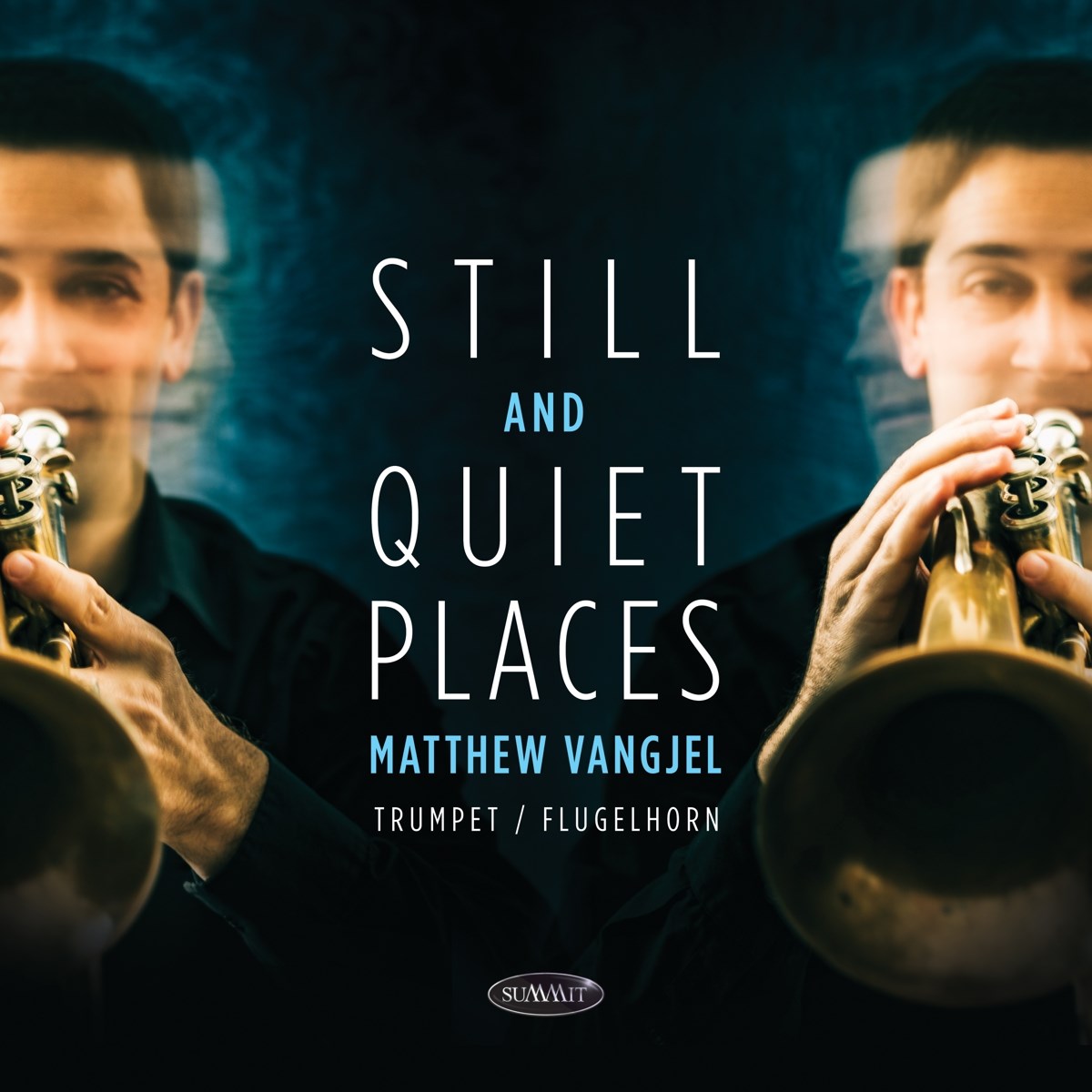 Afbeelding van Matthew Vangjel - Still And Quiet Places
