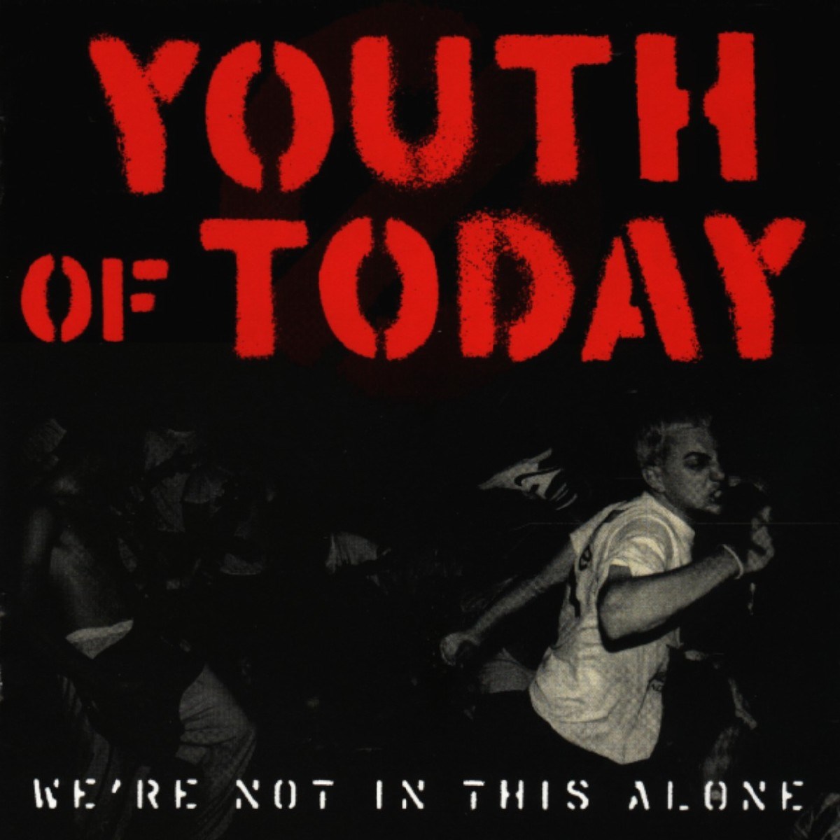 Afbeelding van Youth Of Today - We're Not In This Alone
