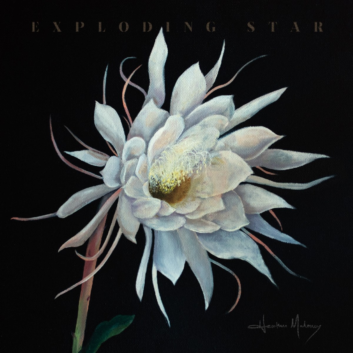 Afbeelding van Heather Maloney - Exploding Star
