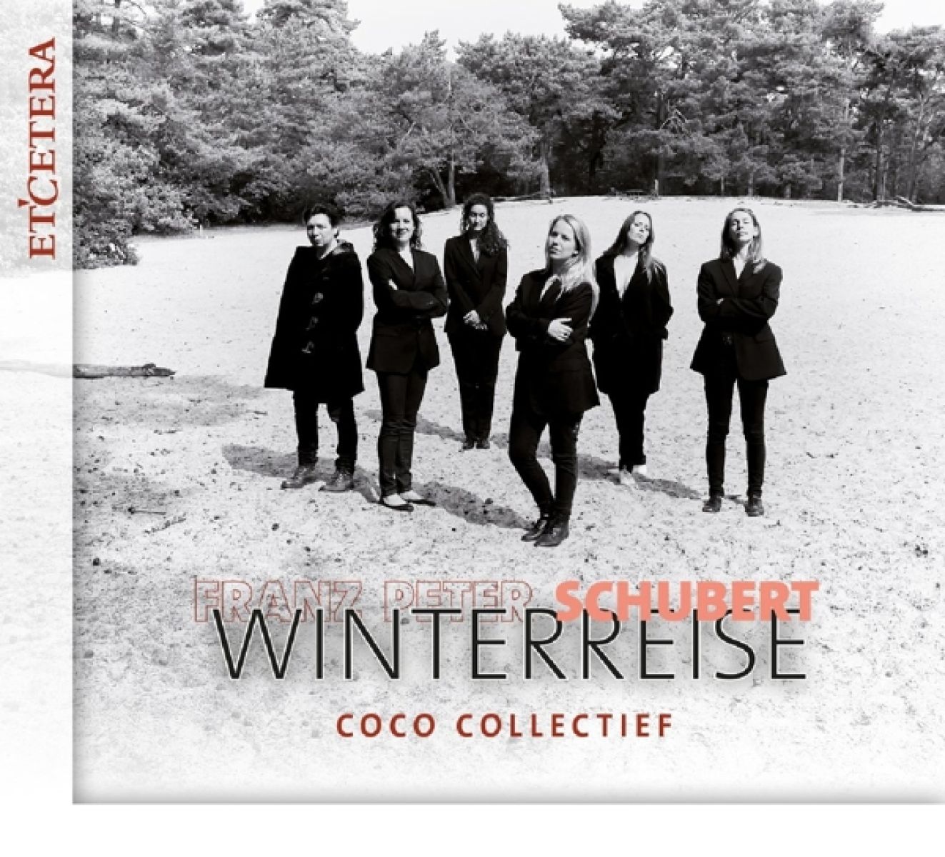 Afbeelding van Coco Collectief - Schubert: Winterreise