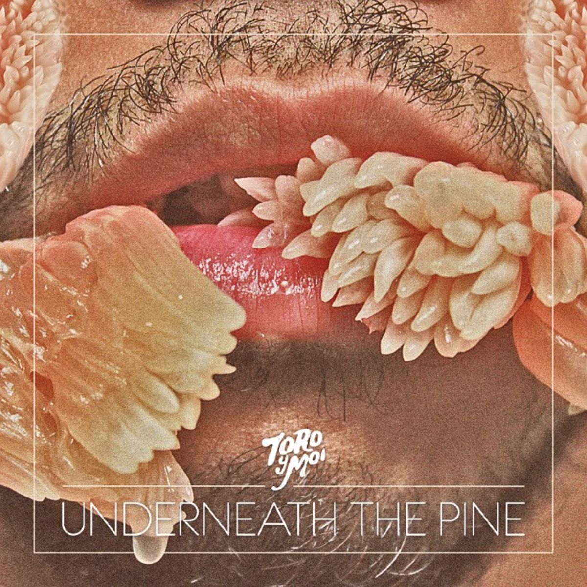 Afbeelding van Toro Y Moi - Underneath The Pine