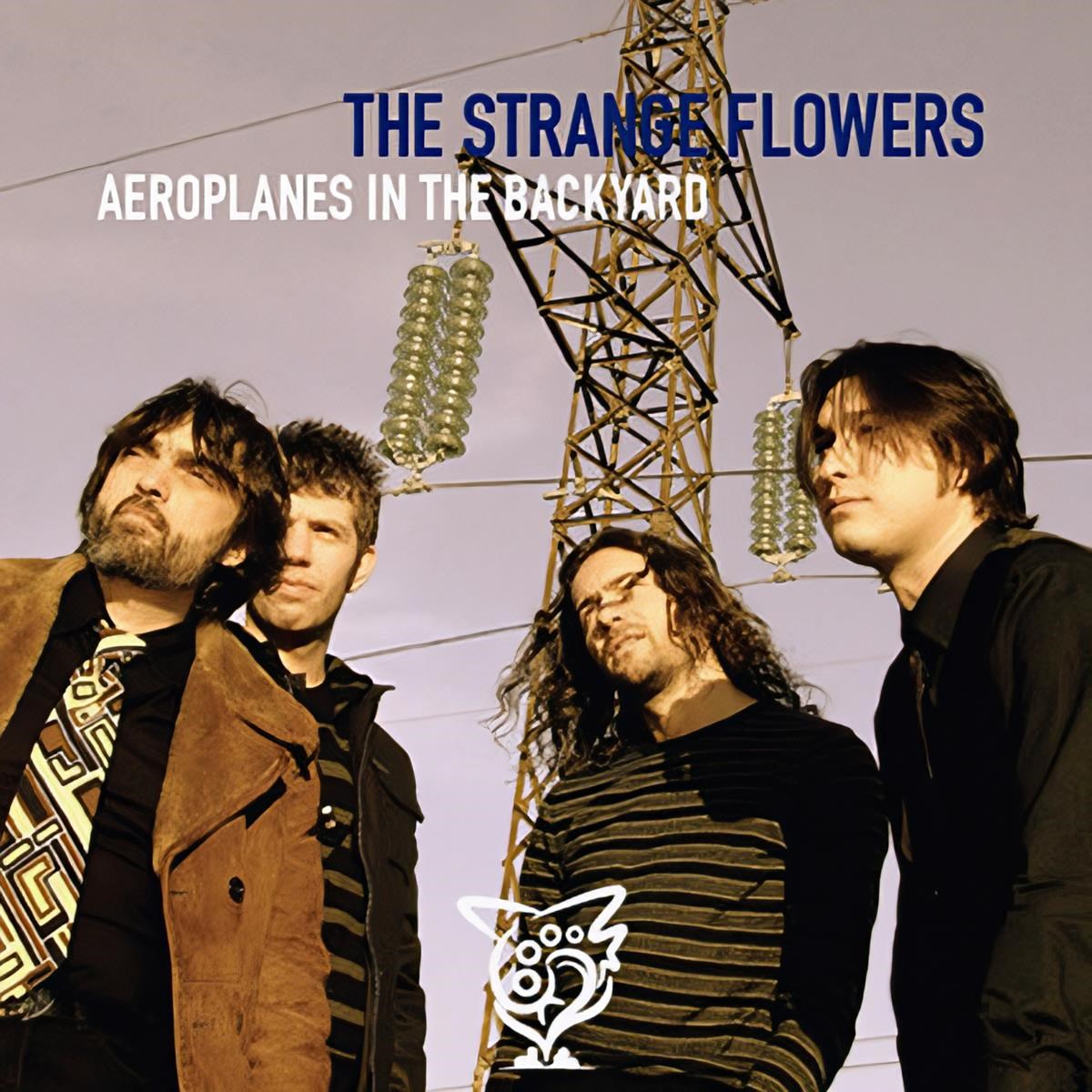 Afbeelding van Strange Flowers - Aeroplanes In The Backyard