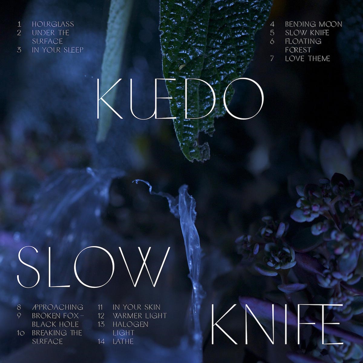 Afbeelding van Slow Knife