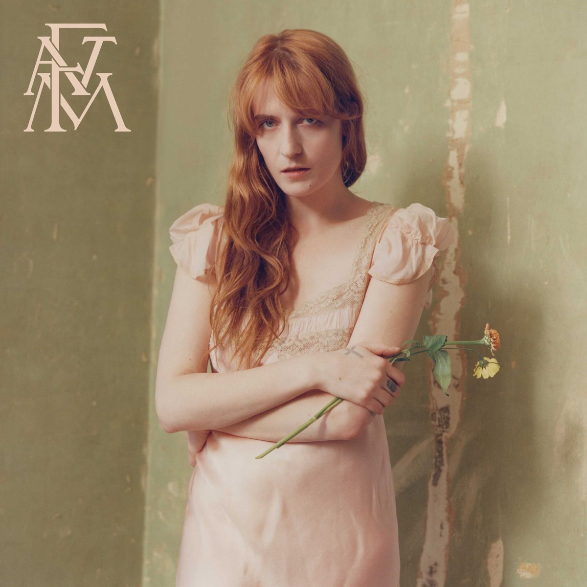 Afbeelding van Florence + The Machine - High As Hope