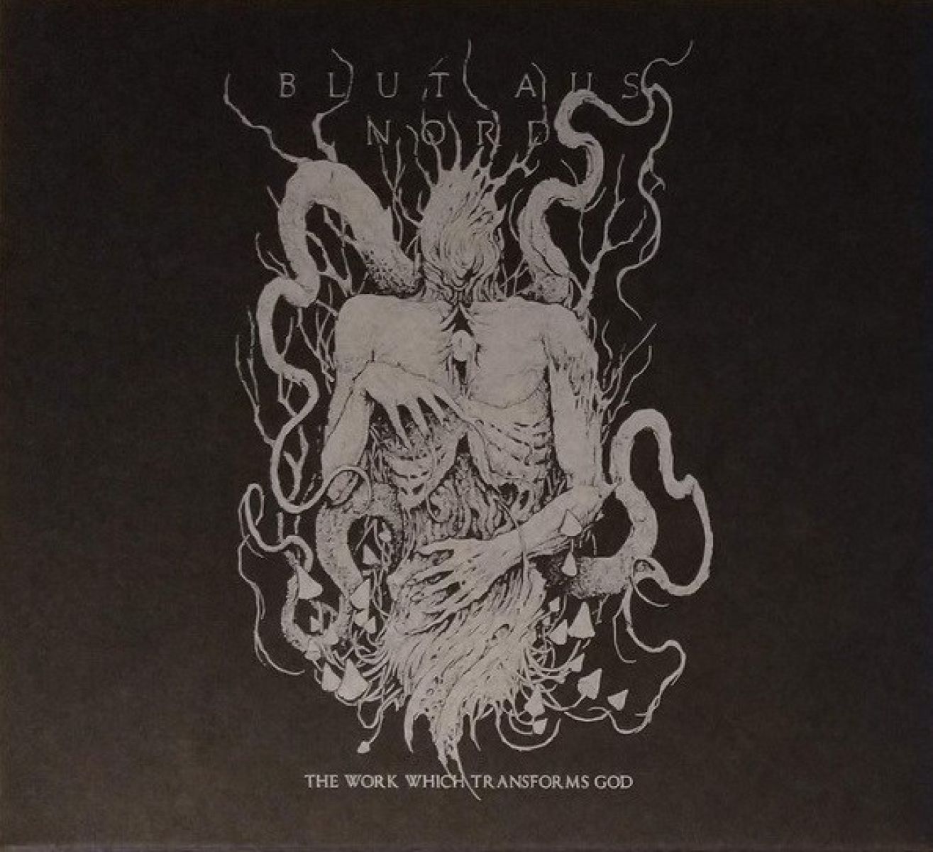 Afbeelding van Blut Aus Nord - The Work Which Transforms God