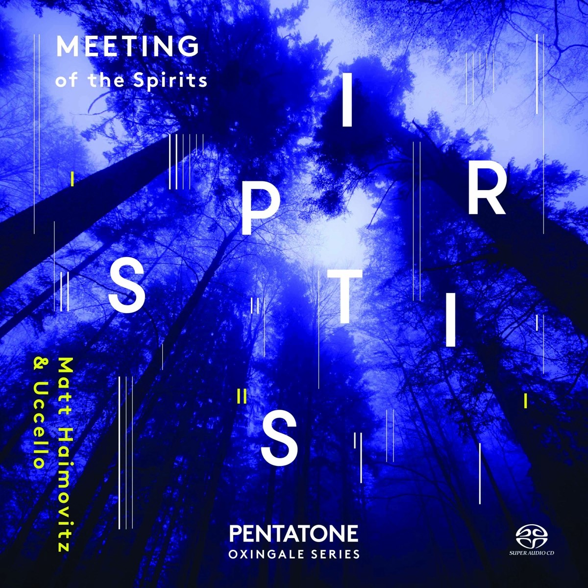 Afbeelding van Matt Haimovitch & Uccello - Meeting of The Spirits