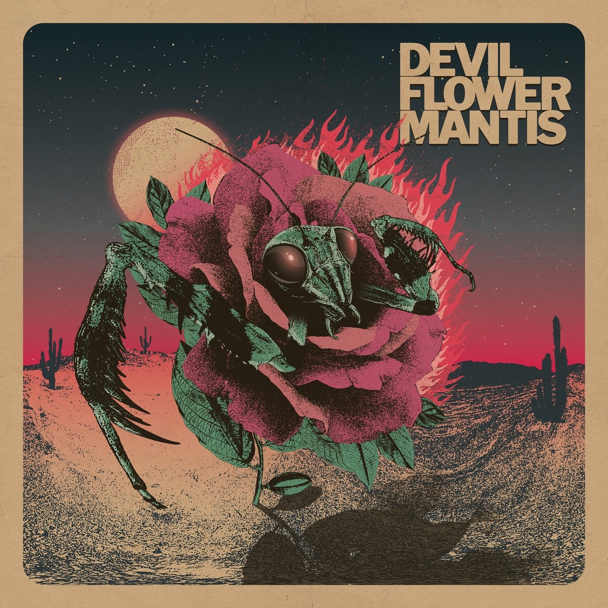 Afbeelding van Devil Flower Mantis - Devil Flower Mantis