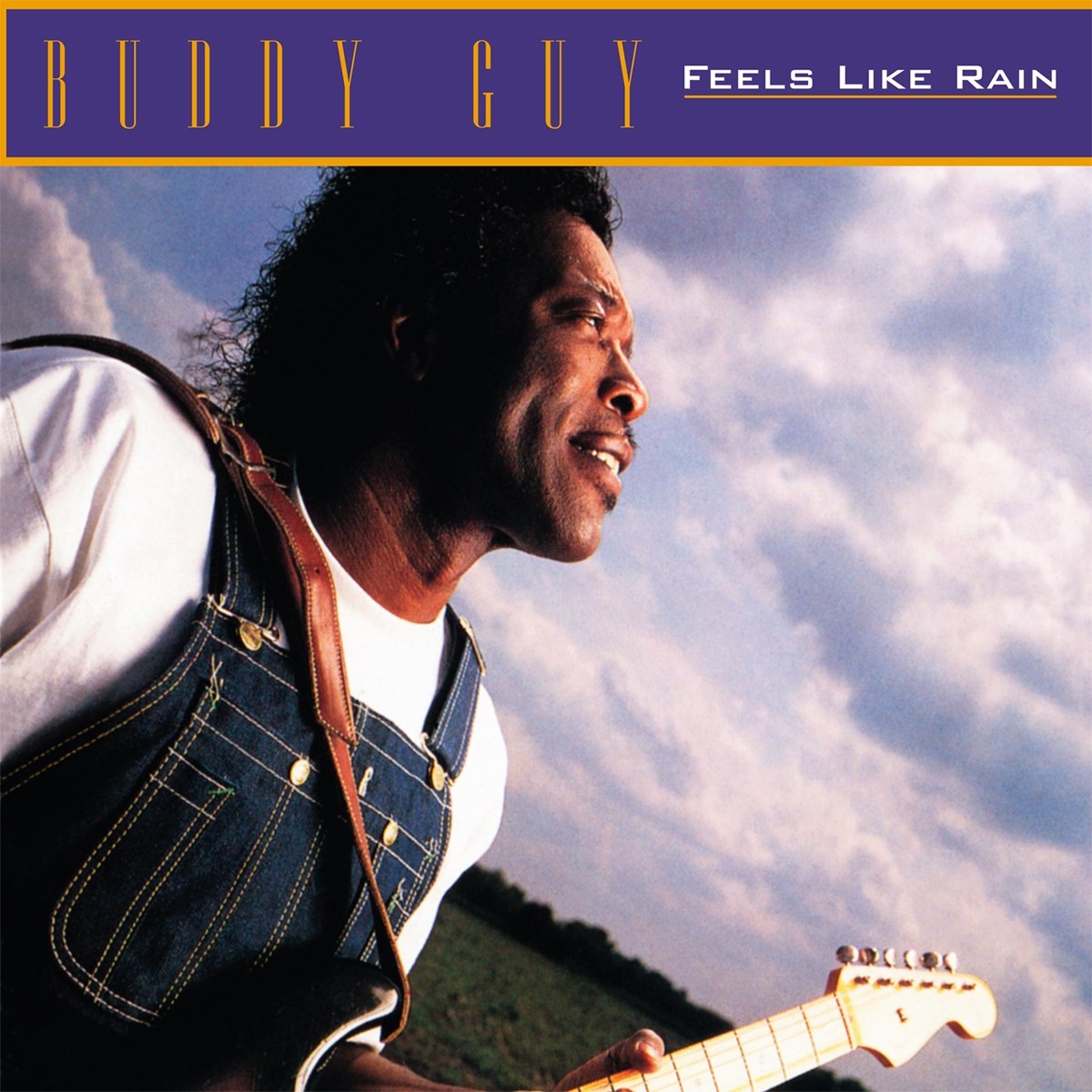 Afbeelding van Buddy Guy - Feels Like Rain