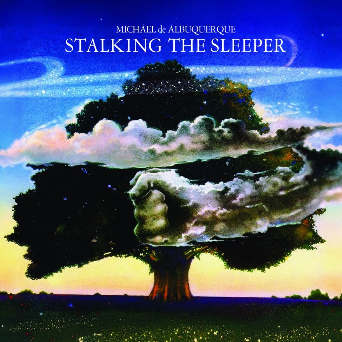 Afbeelding van Michael De Albuquerque - Stalking The Sleeper