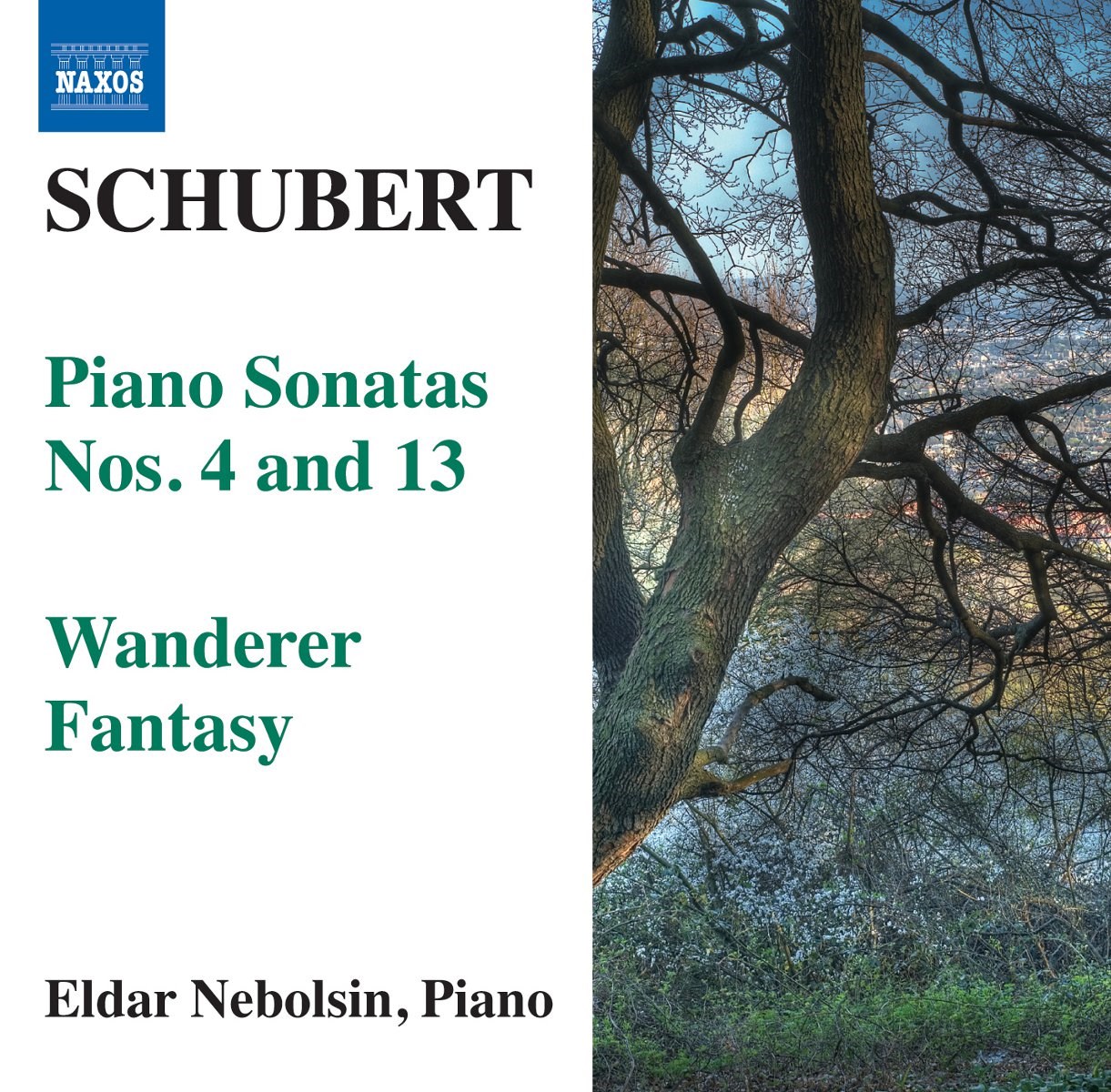 Afbeelding van Eldar Nebolsin - Schubert: Piano Sonatas Nos. 4 And 13 | Wanderer Fantasy