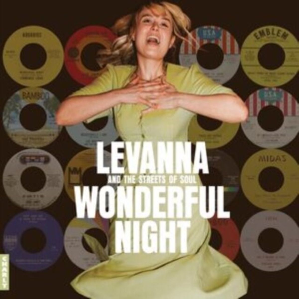 Afbeelding van Various Artists - Wonderful Night Curated By Levanna