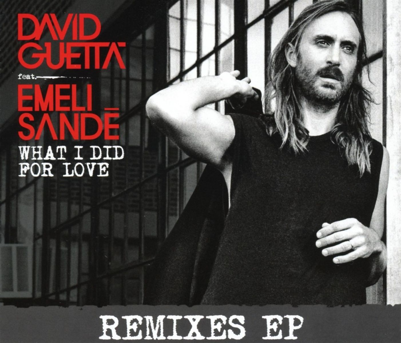 Afbeelding van David Guetta Feat. Emeli Sandé - What I Did For Love (Remixes EP)