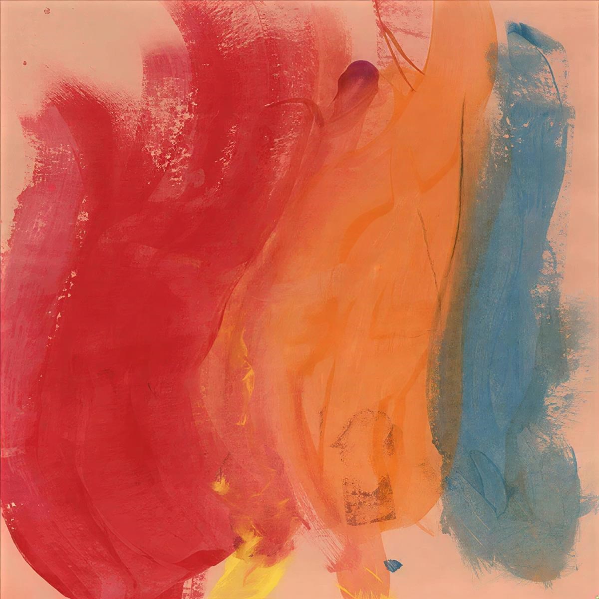 Afbeelding van Joel Andrews - Paradise Bird