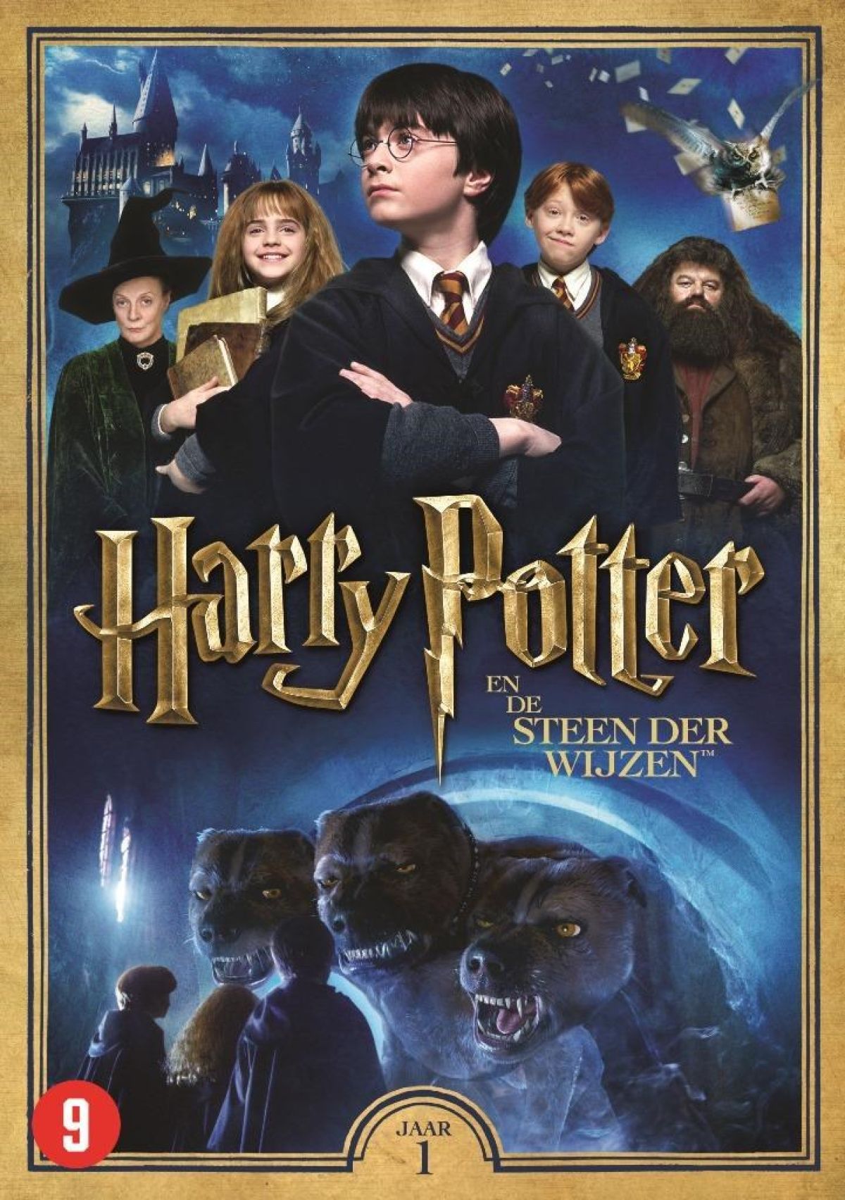 Afbeelding van Harry Potter Jaar 1 - De Steen Der Wijzen
