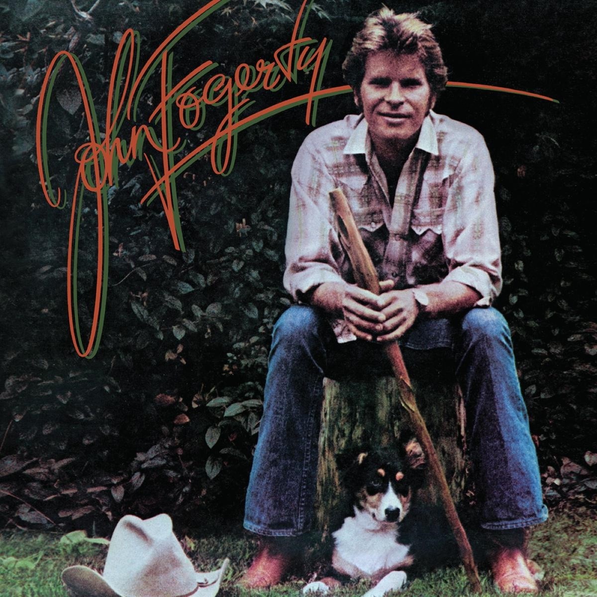 Afbeelding van John Fogerty - John Fogerty
