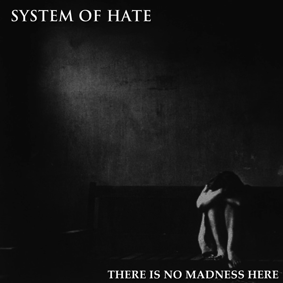 Afbeelding van System Of Hate - There Is No Madness Here