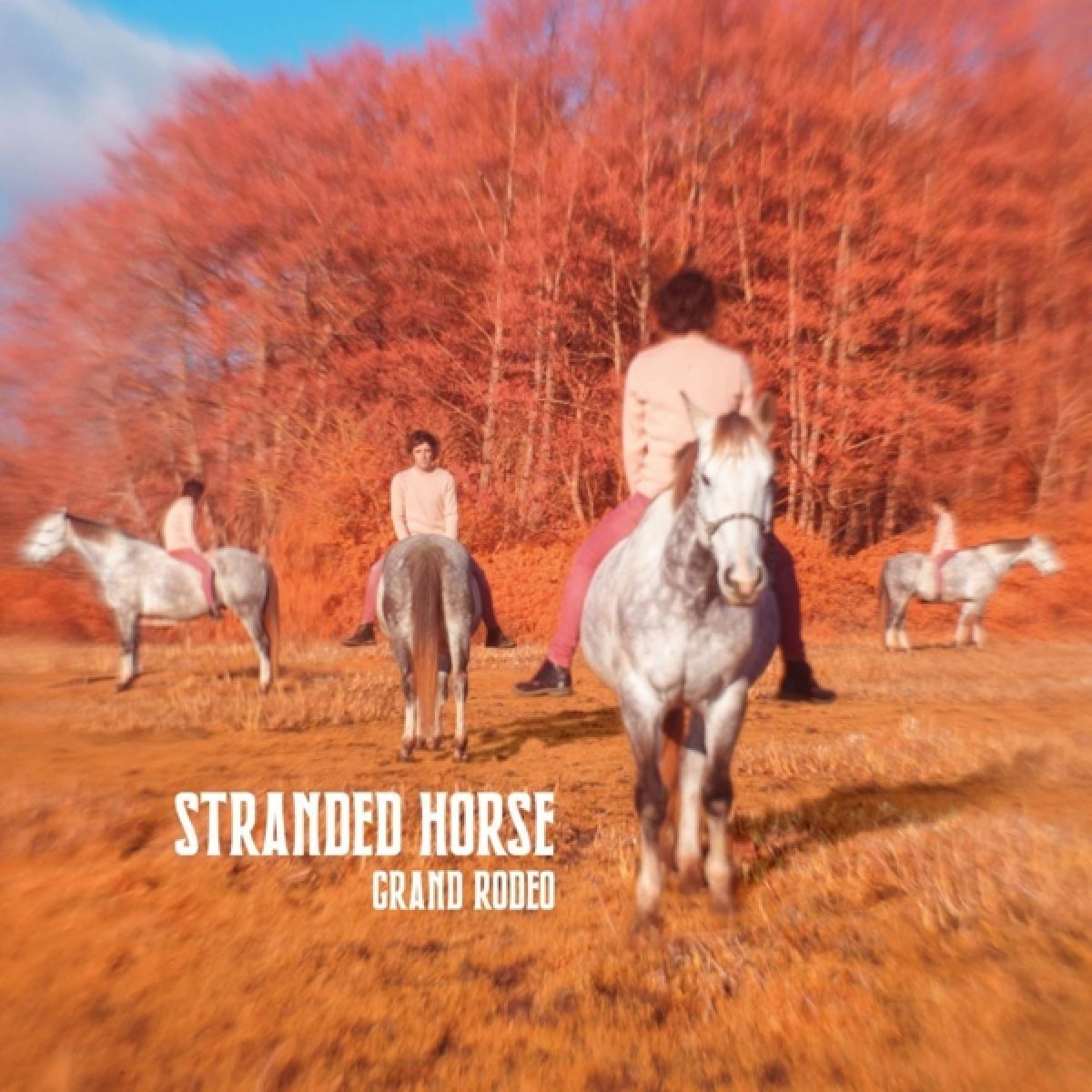 Afbeelding van Stranded Horse - Grand Rodeo
