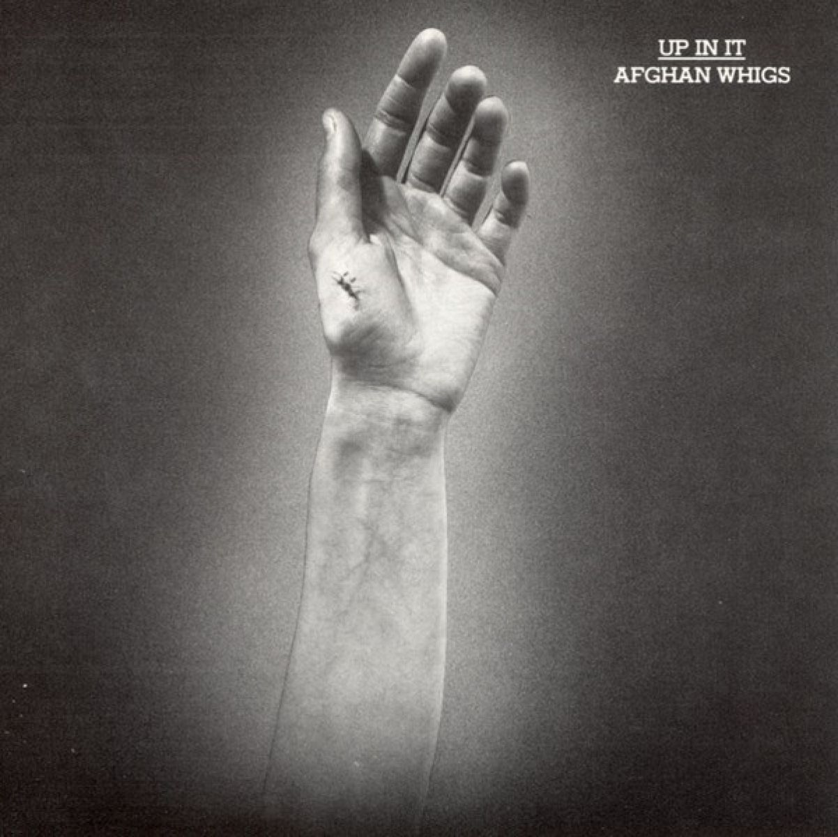 Afbeelding van The Afghan Whigs - Up In It