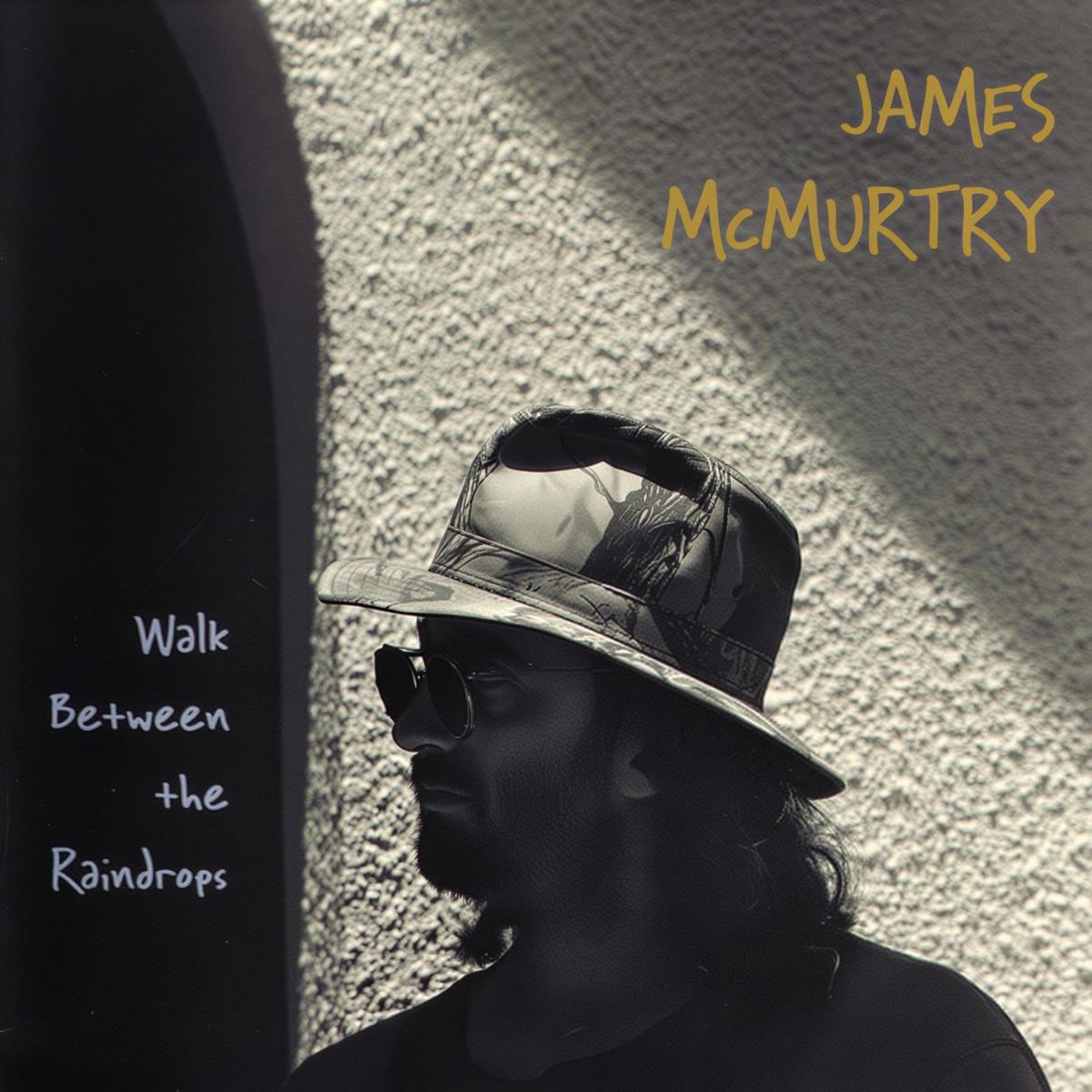 Afbeelding van James McMurtry - Walk Between The Raindrops