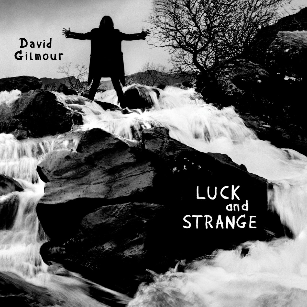 Afbeelding van David Gilmour - Luck And Strange