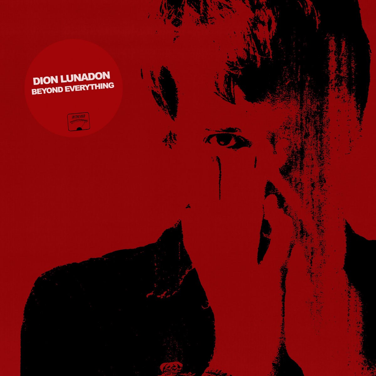 Afbeelding van Dion Lunadon - Beyond Everything