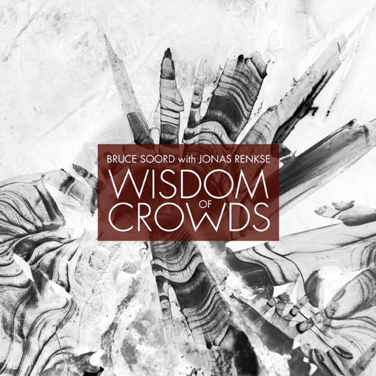 Afbeelding van Wisdom Of Crowds