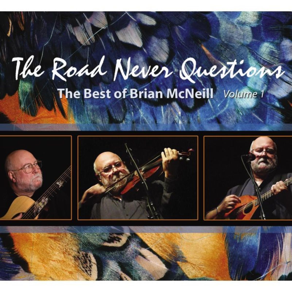 Afbeelding van Brian McNeill - The Road Never Questions