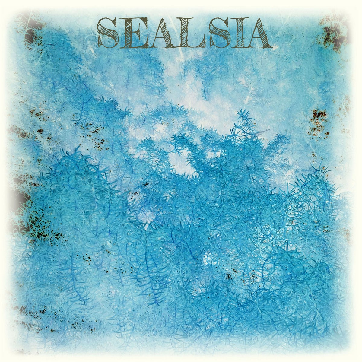 Afbeelding van Sealsia - Sealsia