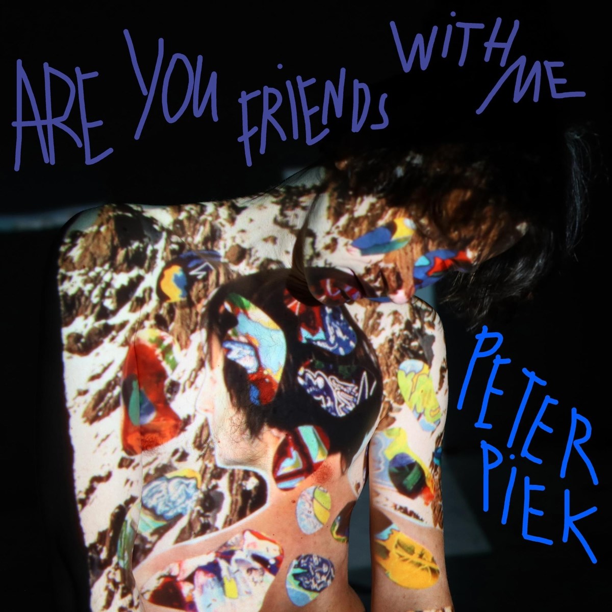 Afbeelding van Peter Piek - Are You Friends With Me