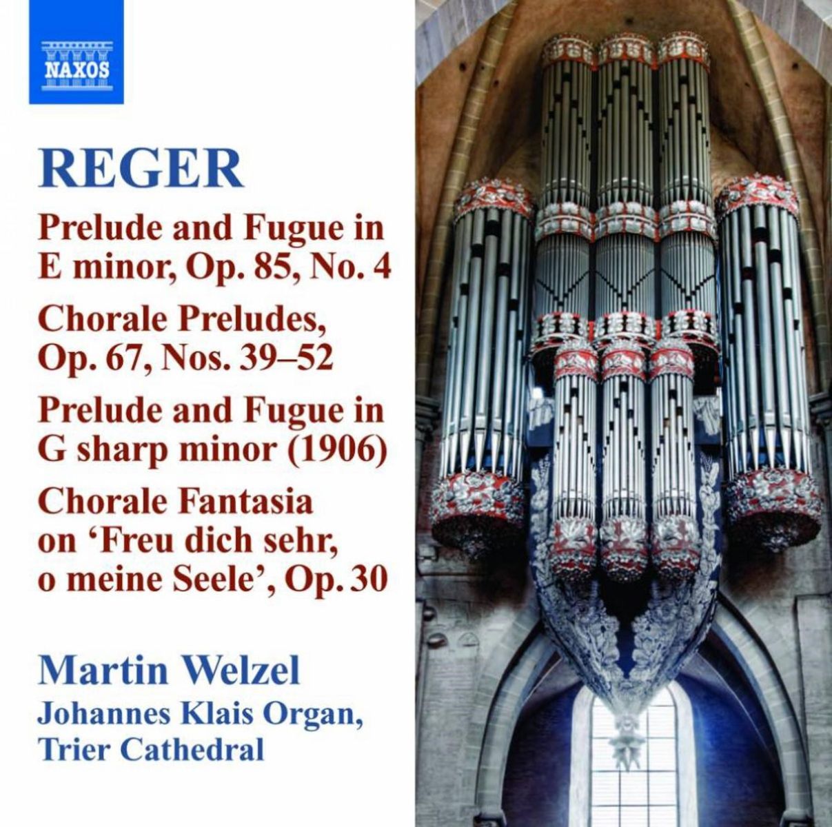 Martin Welzel - Reger: Organ Works Volume 10