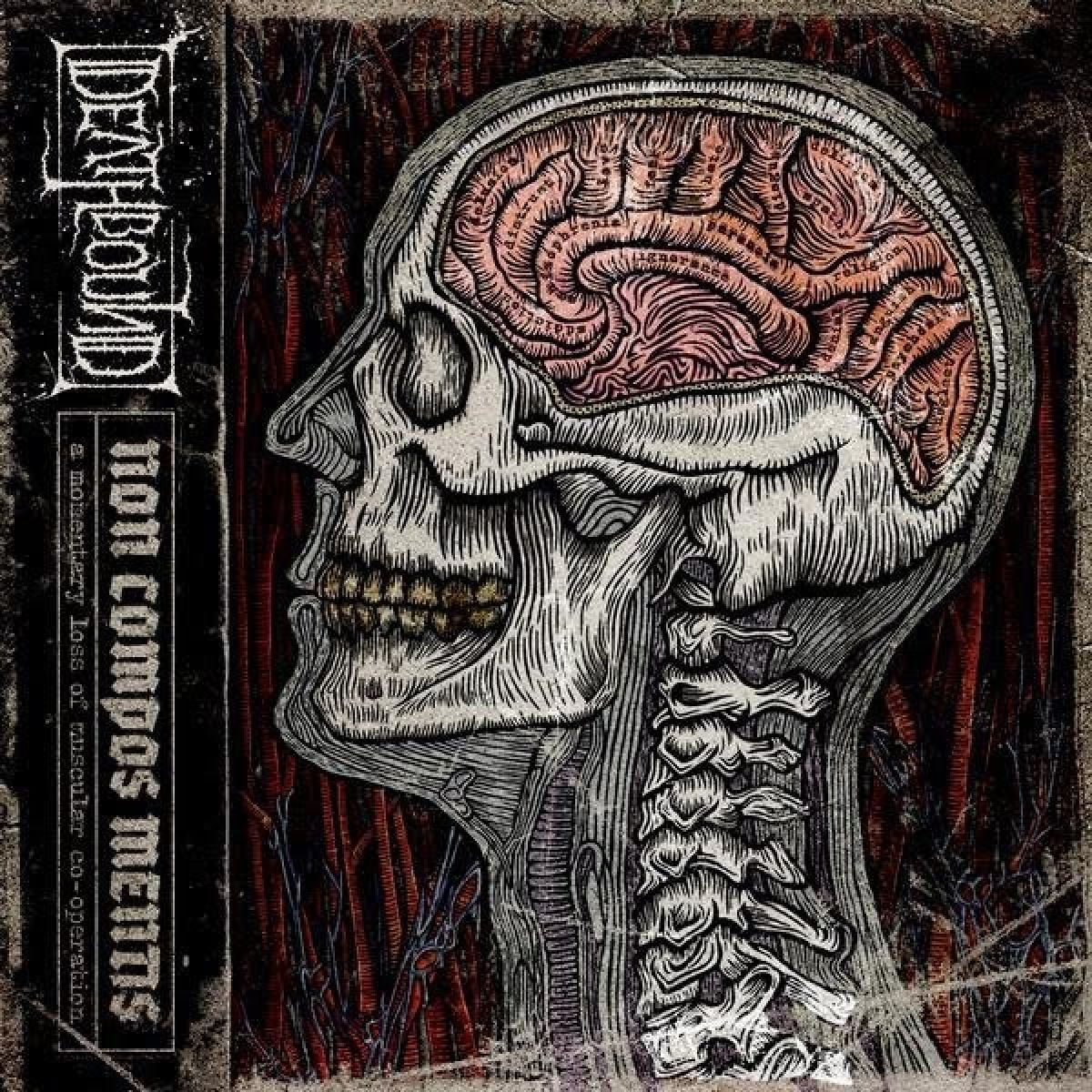 Afbeelding van Deathbound - Non Compos Mentis