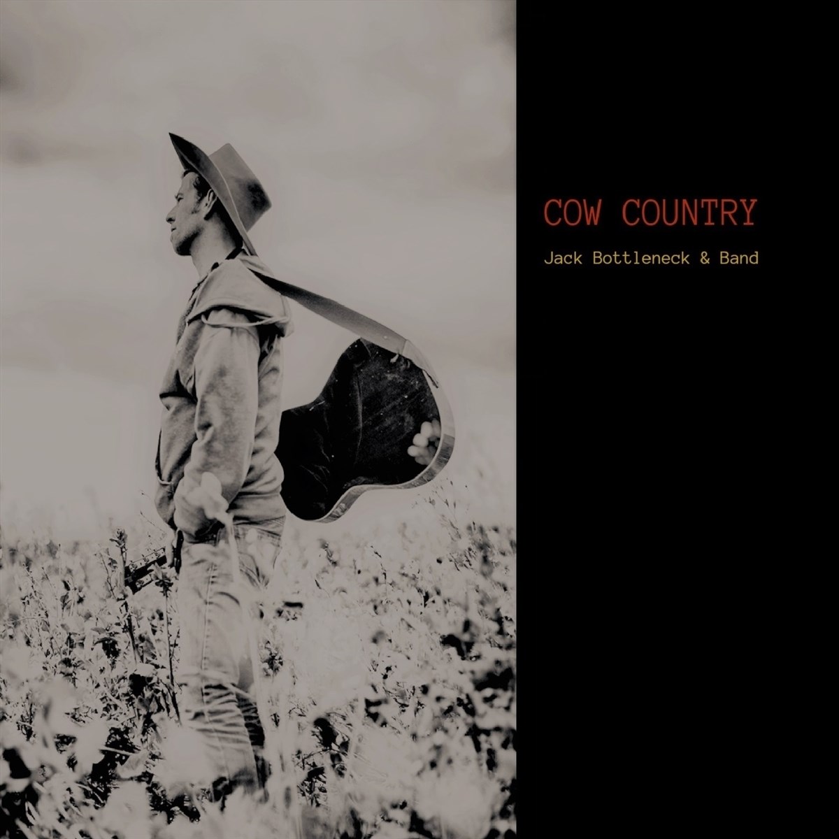 Jack Bottleneck & Band - Cow Country