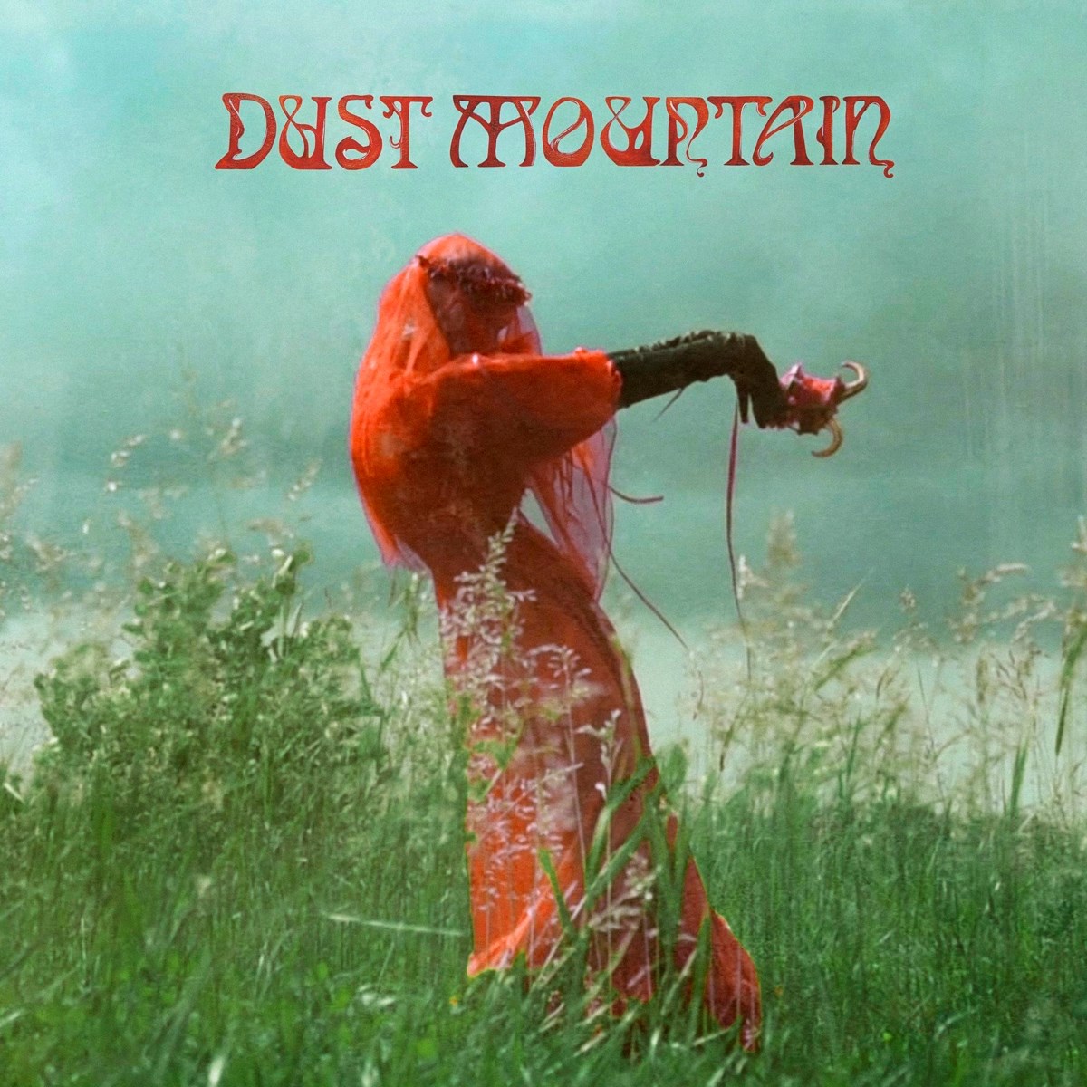 Afbeelding van Dust Mountain - Hymns For Wilderness