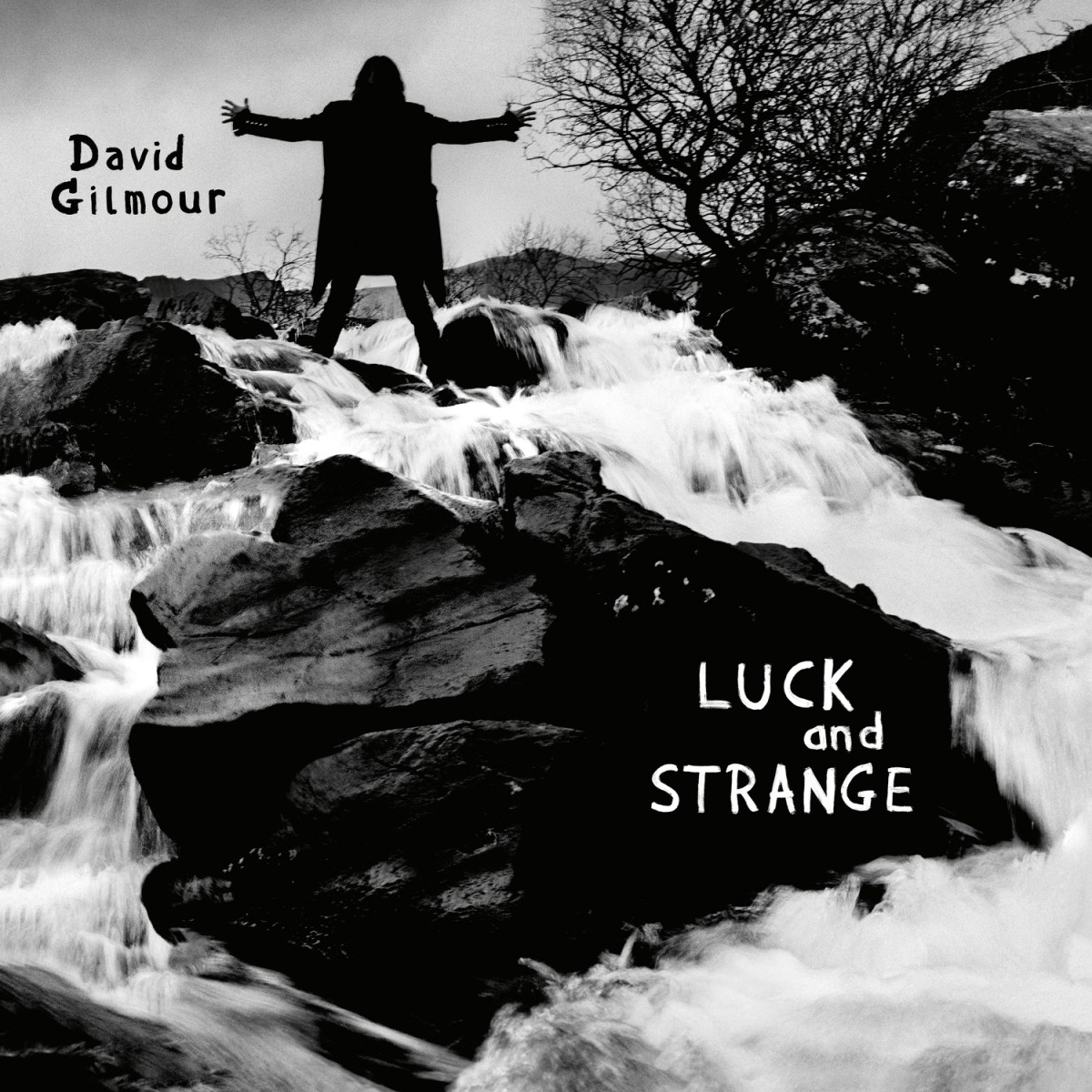 Afbeelding van David Gilmour - Luck And Strange