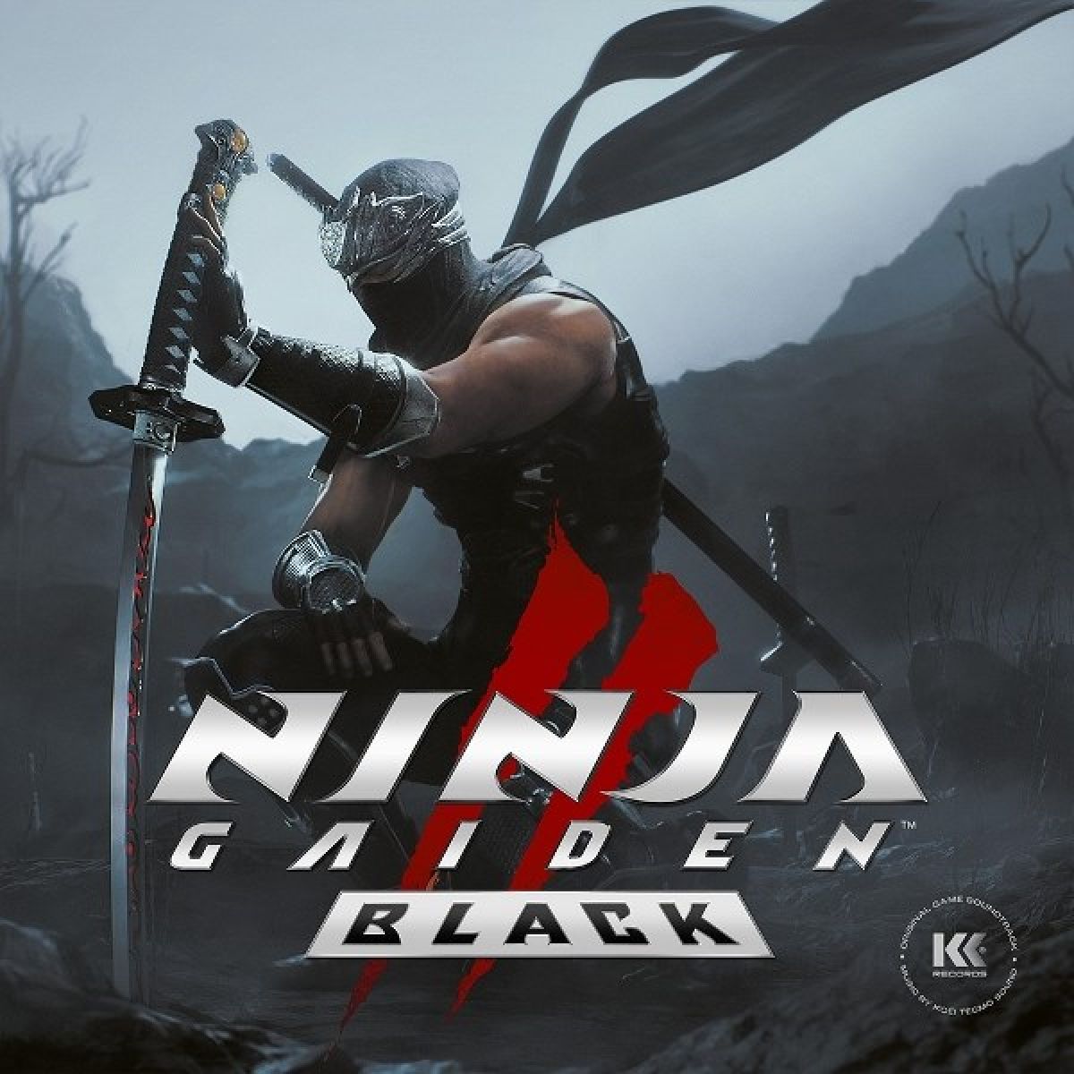Afbeelding van Various Artists - Ninja Gaiden II Black