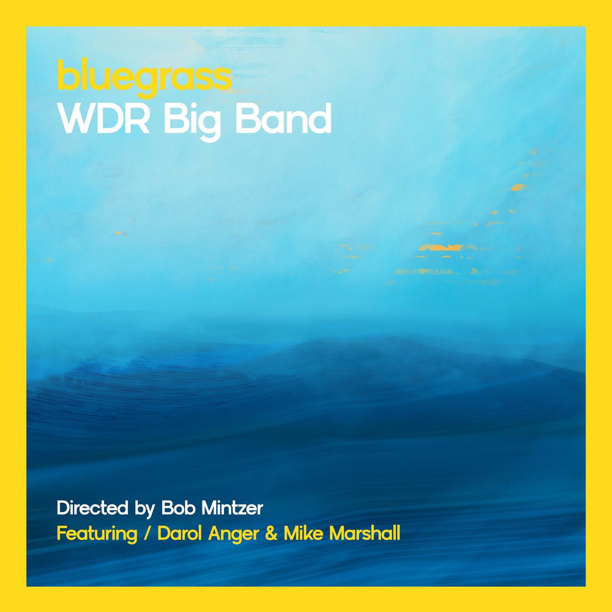Afbeelding van Bob Mintzer & WDR Big Band - Bluegrass