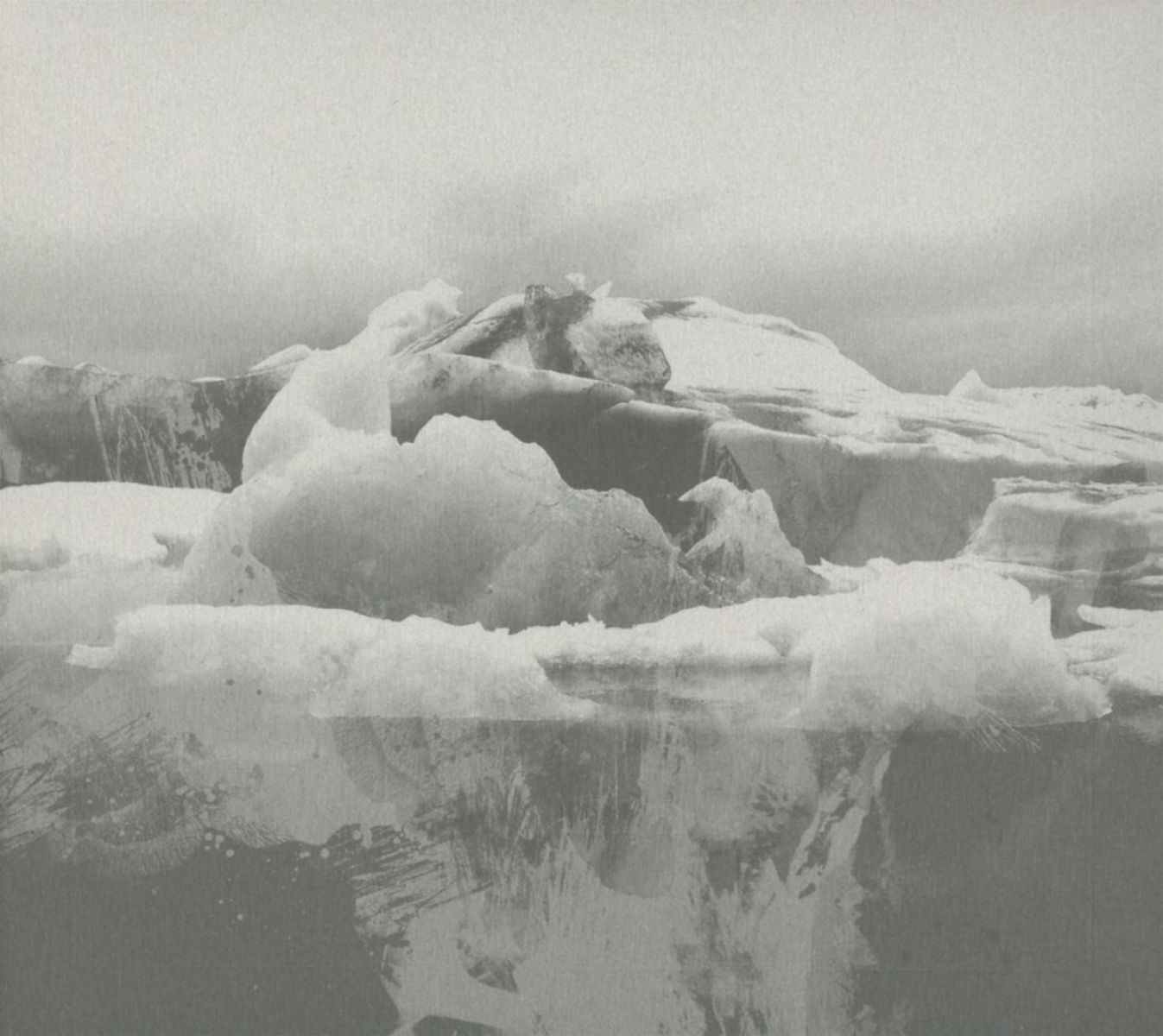 Afbeelding van If These Trees Could Talk - The Bones Of A Dying World