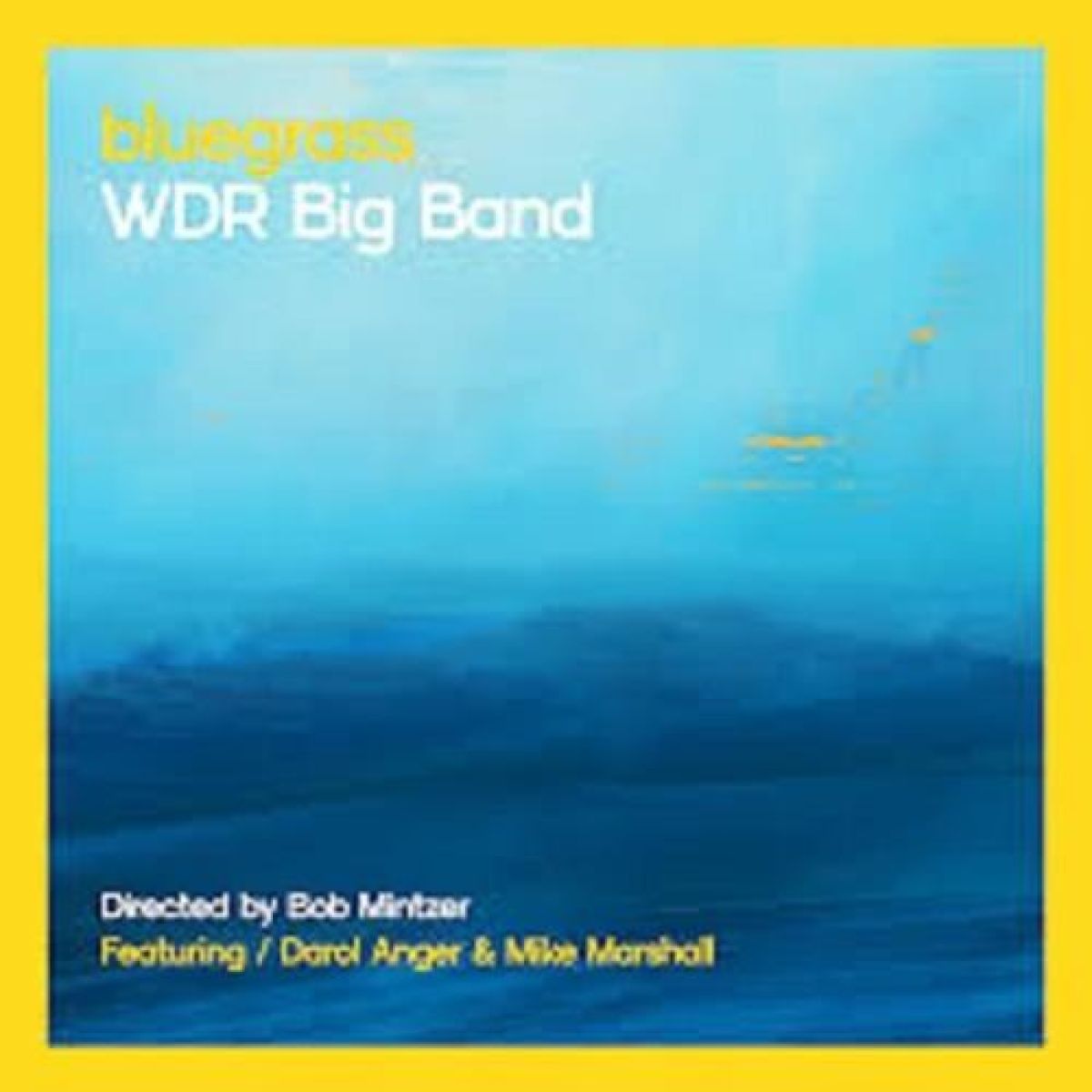 Afbeelding van Bob Mintzer & WDR Big Band - Bluegrass
