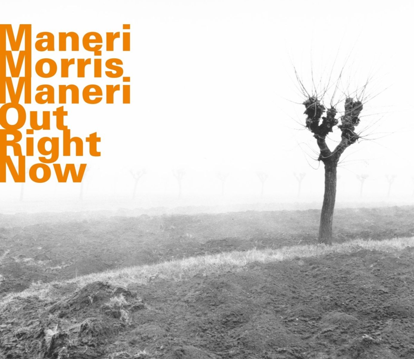 Afbeelding van Joe Maneri, Joe Morris, Mat Maneri - Out Right Now