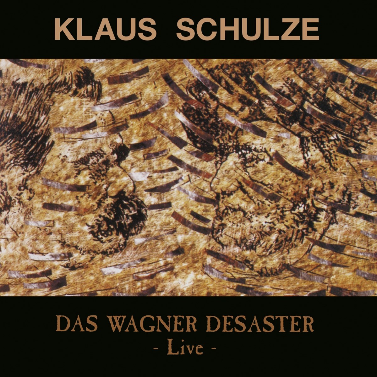 Afbeelding van Klaus Schulze - Das Wagner Desaster (Live)