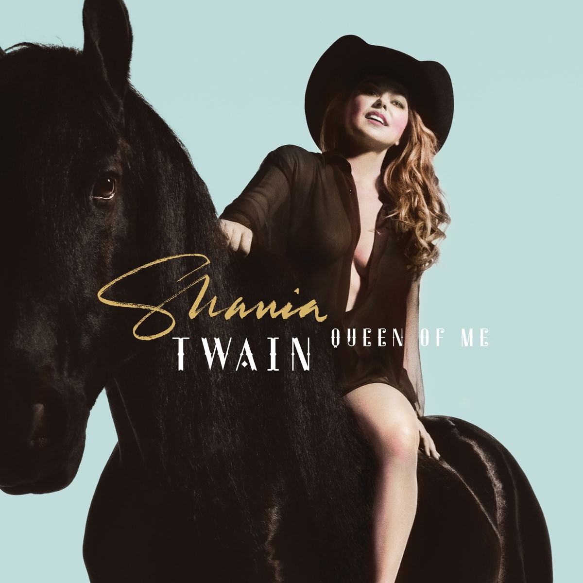 Afbeelding van Shania Twain - Queen Of Me