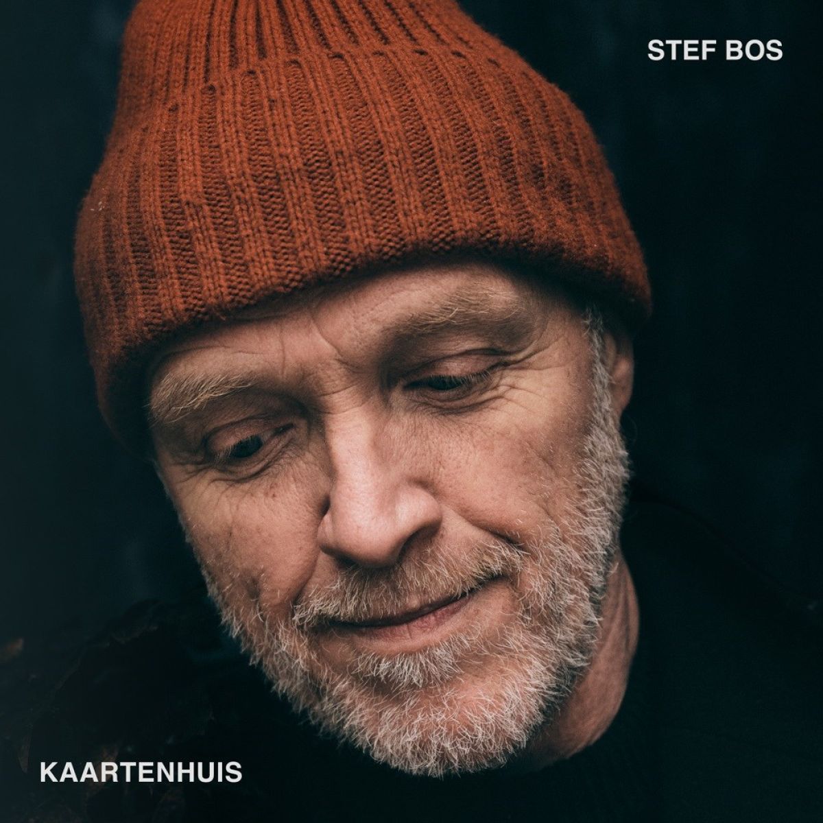 Afbeelding van Stef Bos - Kaartenhuis